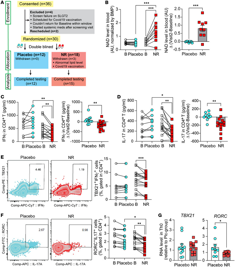 NR supplementation attenuates T cell immune responsiveness.
(A) CONSORT ...
