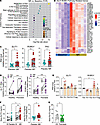 NR induces SLIT–ROBO signaling in psoriatic CD4+ T cells.