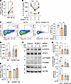 ROBO1 specificity is required for SLIT2-mediated immunomodulation in psoria