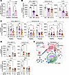 NR reduces fibroblast inflammatory responses via SLIT2 signaling.