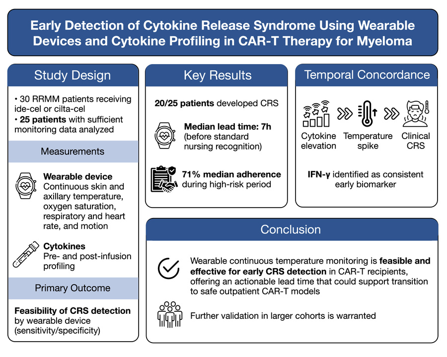 graphical abstract