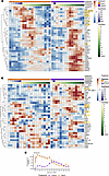 Olink analysis reveals distinct timing of peak inflammation following ide-c