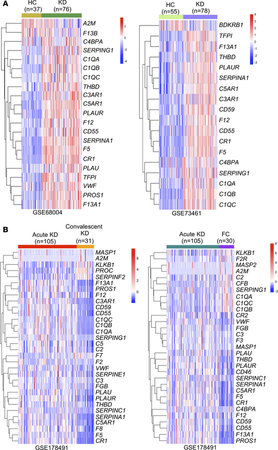 Increased expression of complement pathway fragments and receptors in pa...
