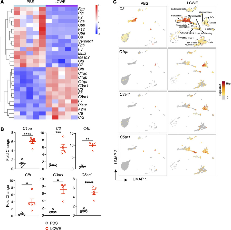 Complement pathway expression in abdominal aortas from LCWE-injected mic...