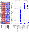 Differential gene expression analysis.