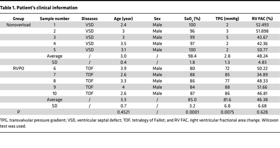 Patient’s clinical information