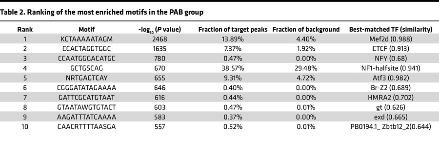 Ranking of the most enriched motifs in the PAB group