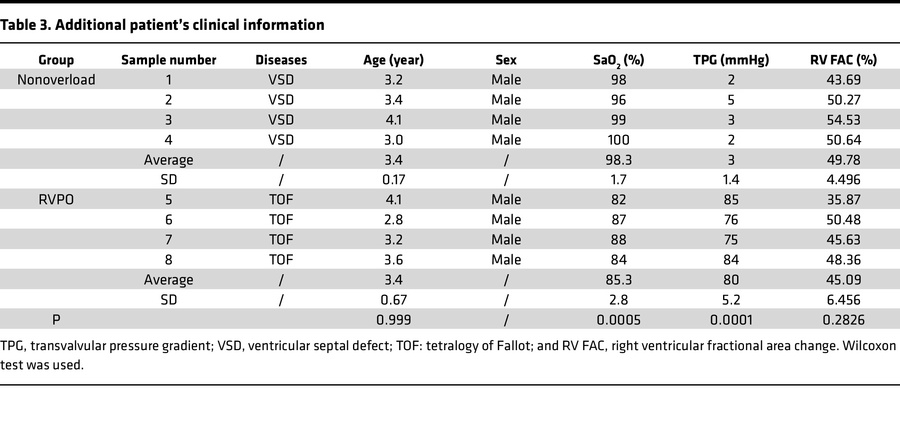 Additional patient’s clinical information