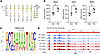 Mef2d motif is highly enriched in PAB rat RVs.