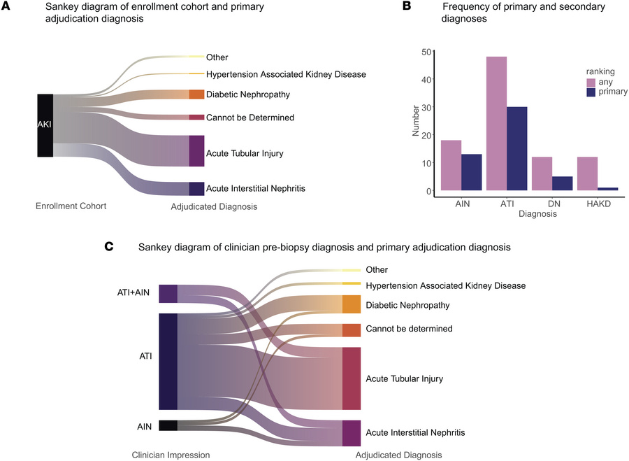 Adjudicated diagnosis in KPMP AKI participants.
(A) Of participants enro...