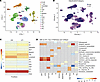 AIN cases have higher expression of signatures related to allograft rejecti
