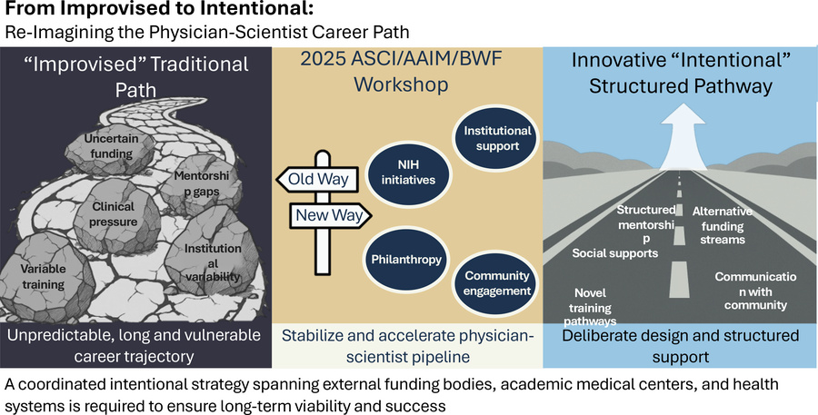 graphical abstract