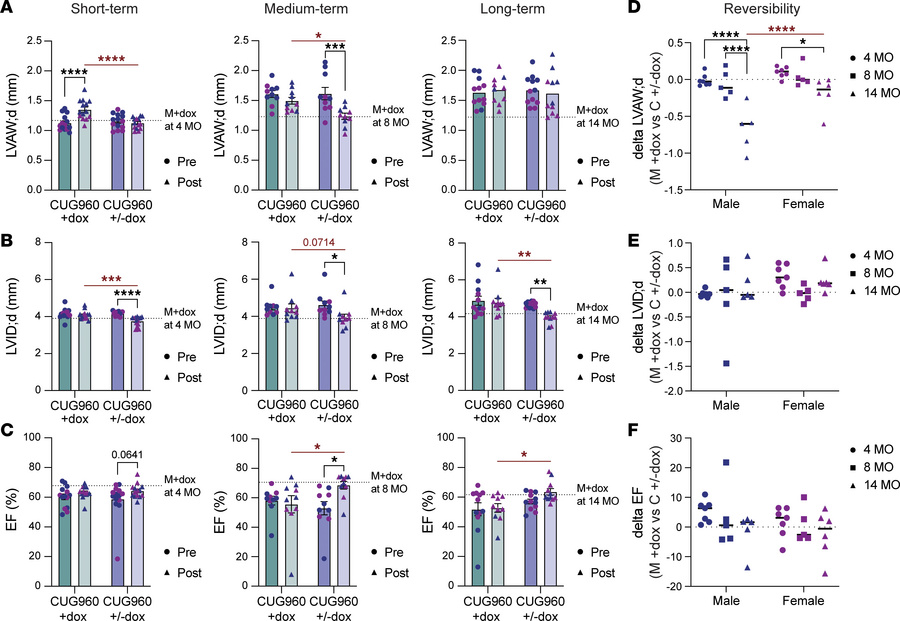 Reversibility of structural parameters are reduced following long-term c...