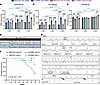 Long-term CUGexp RNA expression resulted in progressive prolongation of car