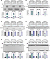 Misregulated splicing events in CUG960 +dox mice returned to control levels