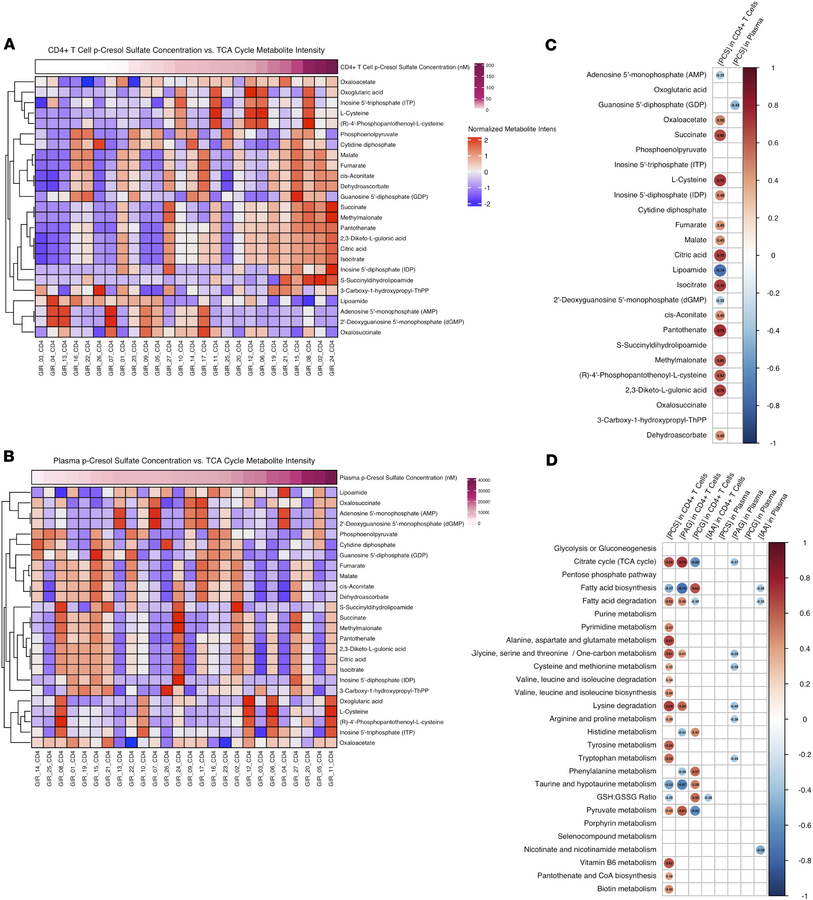 Metabolite Profiling and PCS Quantification in CD4+ T cells from PLWH.
C...