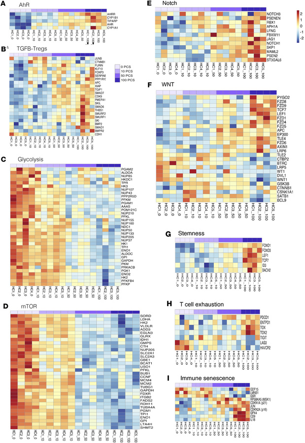 PCS induces transcriptomic reprogramming in proliferating CD4+ T cells.
...