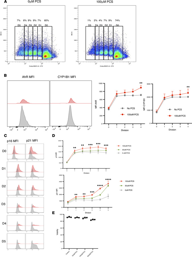 PCS induces an AhR-associated senescence phenotype in CD4+ T cells.
(A) ...