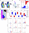 Single-cell transcriptomic analysis of CD4+ T cells from participants with