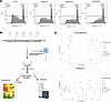 PCS modulates CD4+ T cell proliferation and induces coordinated transcripto