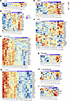 PCS induces transcriptomic reprogramming in proliferating CD4+ T cells.