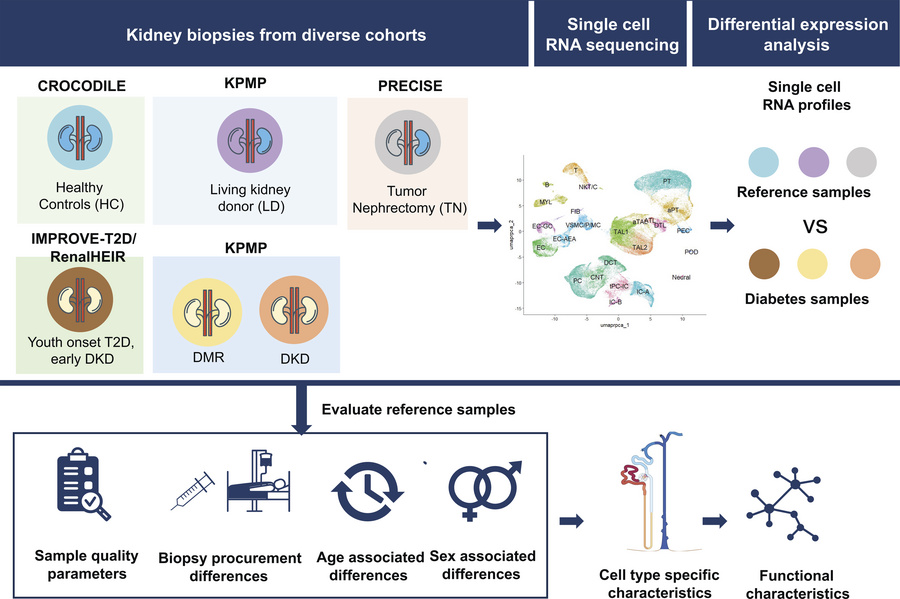 Overview of the analysis approach.