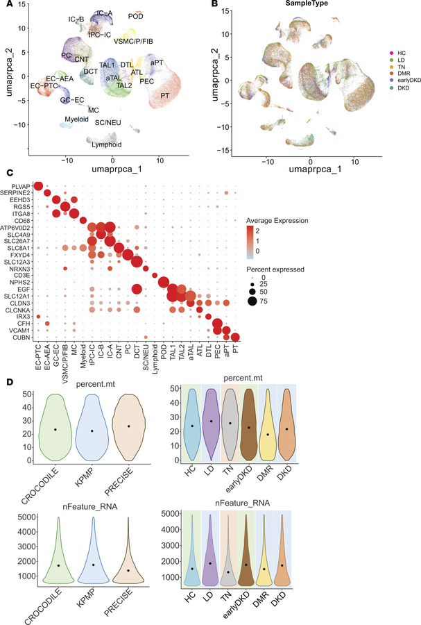 Single-cell data.
(A) UMAP showing the annotated cell types from the int...