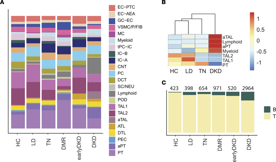 Immune cells and tubular epithelial cell states.
(A) Proportion of cell ...