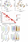Single-cell data.
