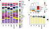Immune cells and tubular epithelial cell states.