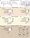 Analysis of the top pathways.