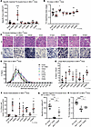 Overexpression of the lipid-binding-defective DNM2 K562E mutant improves TA