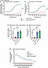 Systemic expression of the DNM2 mutant K562 restores in situ muscle force i