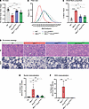 Systemic expression of the CMT neuropathy mutant K562 improves muscle atrop