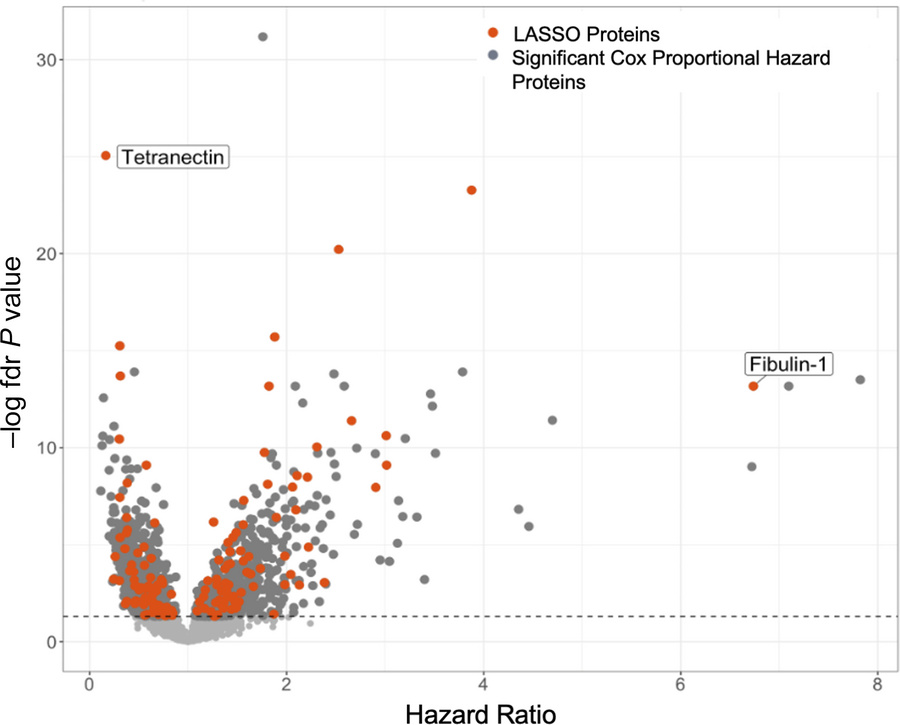 Volcano plot demonstrating model-prioritized MACE proteins in EXSCEL pro...