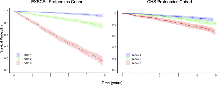 Kaplan-Meier survival curves comparing tertiles of the MACE protein scor...
