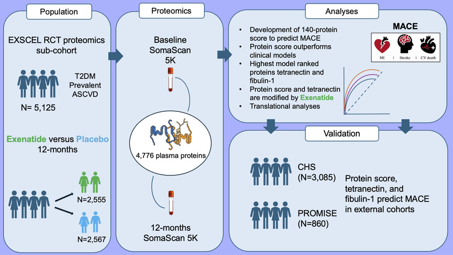 graphical abstract