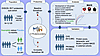 Study overview and analytic workflow.
