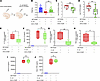 IL-27 neutralization improves outcomes during murine neonatal sepsis induce