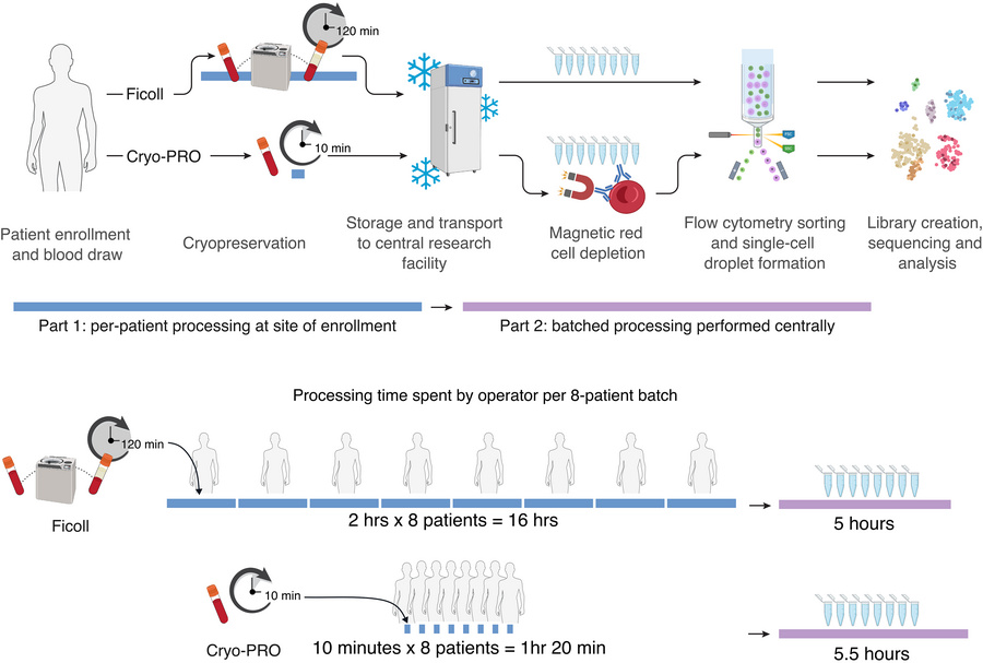 Overview of Ficoll and Cryo-PRO sample processing workflows.
Cryo-PRO is...