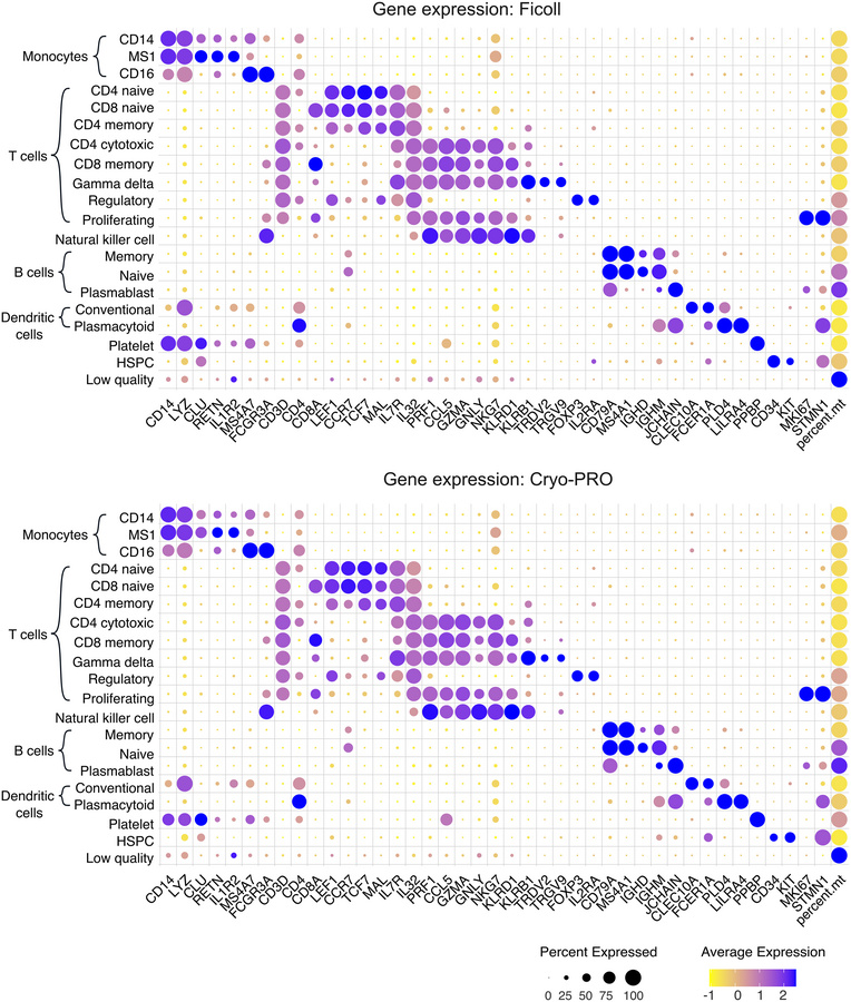 Dot plots of key marker genes and percent mitochondrial reads (percent.m...