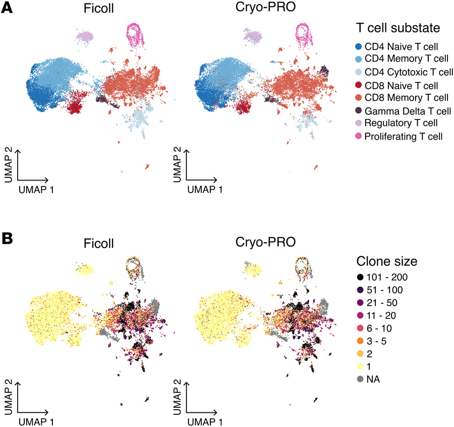 T cell substates and corresponding TCR repertoire clonality by method.
U...
