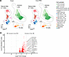 Comparison of cell substate identification and gene expression by method.