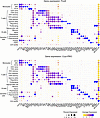 Dot plots of key marker genes and percent mitochondrial reads (percent.mt)