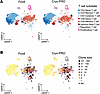 T cell substates and corresponding TCR repertoire clonality by method.