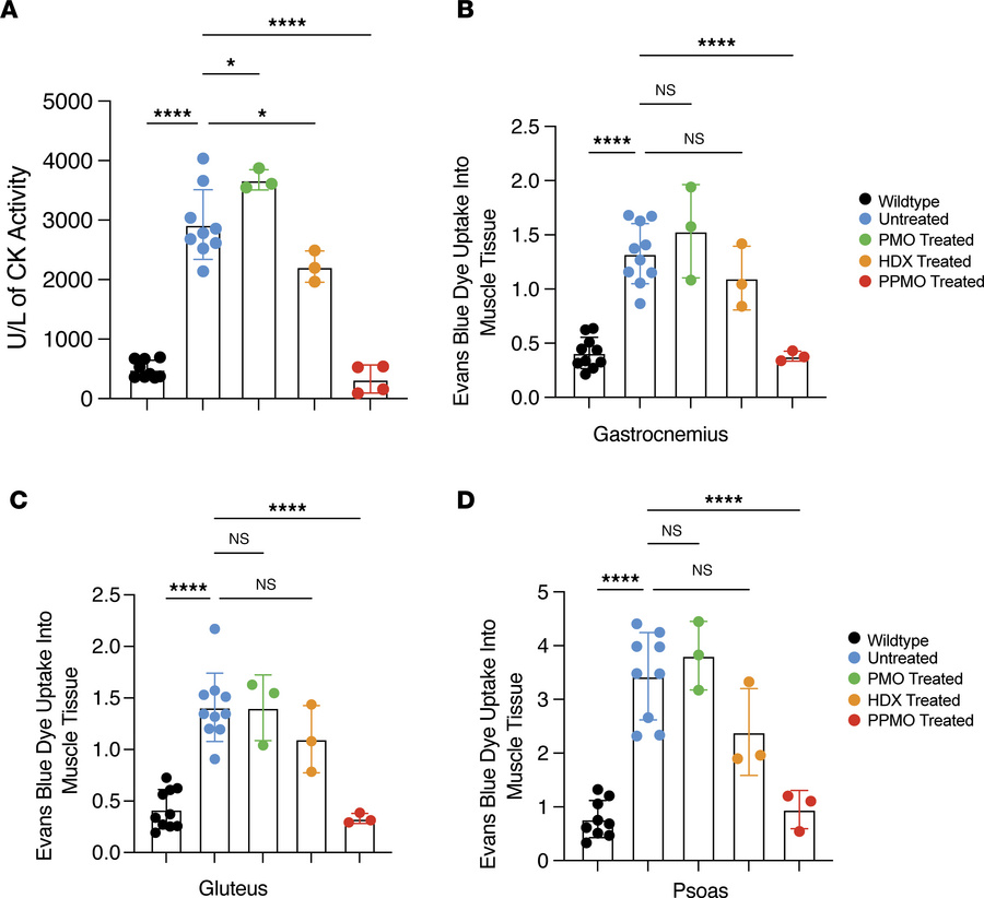 Determining functional membrane repair.
(A) Creatine kinase levels detec...