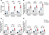 Functional assays of membrane damage due to dysferlinopathy in vivo.