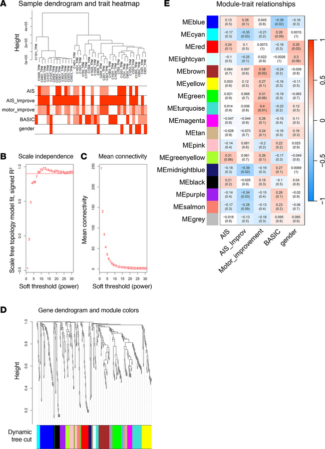 Identification and correlation of WGCNA modules across all time points.
...