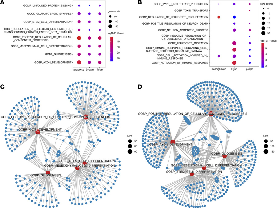 Gene set enrichment and the network of functional categories and their a...