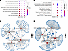 Gene set enrichment and the network of functional categories and their asso